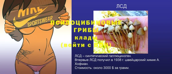 мяу мяу мука Дмитровск