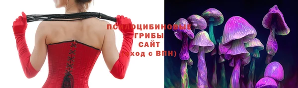 гидра Дмитриев