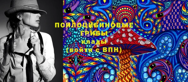 гидра Дмитриев