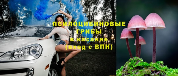 мяу мяу кристалл Дмитров